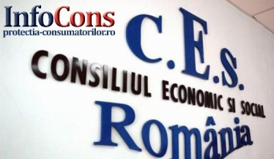 Reprezentanții InfoCons participă la ședința Plenului Consiliului Economic și Social