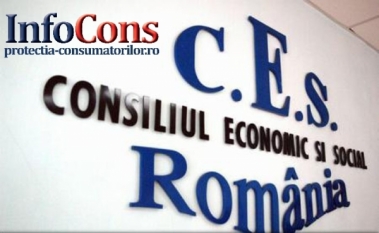 Reprezentantul InfoCons participă la ședința Plenului Consiliului Economic și Social