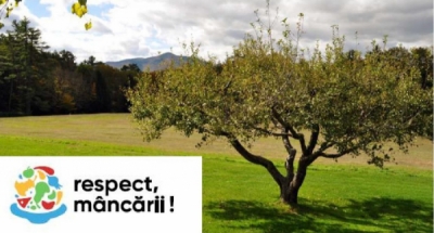 Risipa alimentară și schimbările climatice!