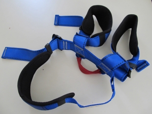 Safety Gate: Sistemul de alertă rapidă pentru produse nealimentare periculoase