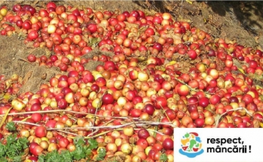 Merele – cum prelungim viața acestora și reducem risipa alimentară !