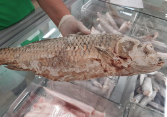 Mari nereguli găsite la peștele de import, în hypermarket-urile din zona București-Ilfov, într-o singură zi de controale efectuate de ANPC