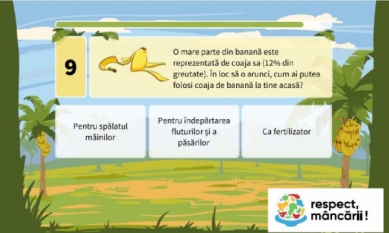 Călătoria bananelor : din pământ până la tine acasă !!