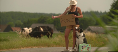 Călătoria cu animalele de companie: reguli de ținut minte