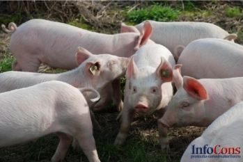 Controale ANSVSA în sectorul produselor alimentare de origine nonanimală noiembrie 2019