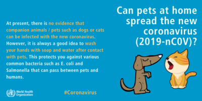 Animalele de companie pot răspândi noul virus Covid-19 (Coronavirus)?