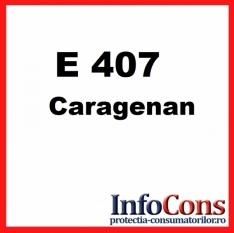 Definiție pentru E407 - Caragenan