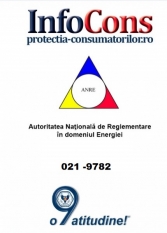 Racordarea clienților noncasnici la reţelele electrice de interes public 